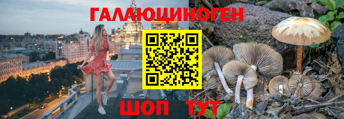 Дзержинский  закладки  Псилоцибиновые грибы Magic Shrooms  Вход с VPN  Псилоцибиновые грибы ЛСД 